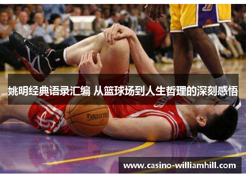 姚明经典语录汇编 从篮球场到人生哲理的深刻感悟