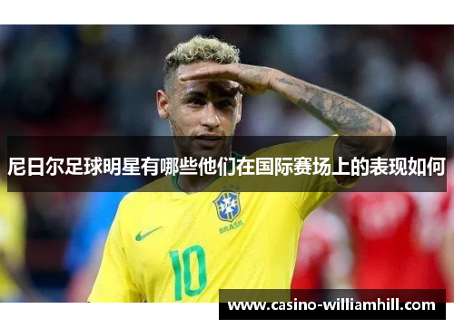 尼日尔足球明星有哪些他们在国际赛场上的表现如何 尼日尔足球明星有哪些他们在国际赛场上的表现如何