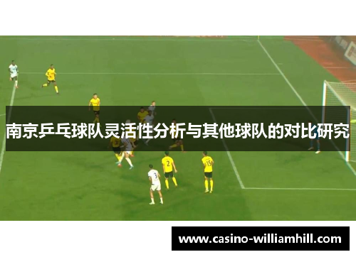 南京乒乓球队灵活性分析与其他球队的对比研究