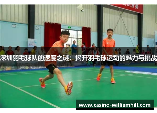深圳羽毛球队的速度之谜：揭开羽毛球运动的魅力与挑战