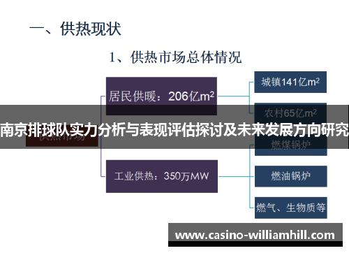 南京排球队实力分析与表现评估探讨及未来发展方向研究