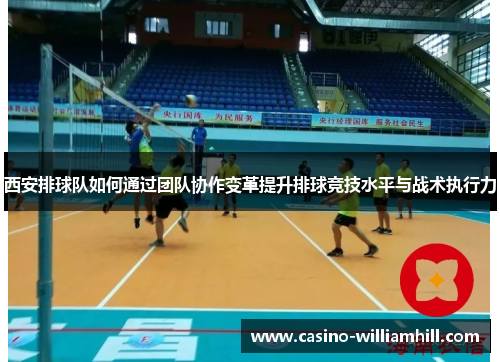 西安排球队如何通过团队协作变革提升排球竞技水平与战术执行力