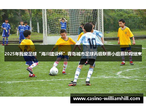 2025年我爱足球“海川建设杯”青岛城市足球丙级联赛小组赛阶段结束